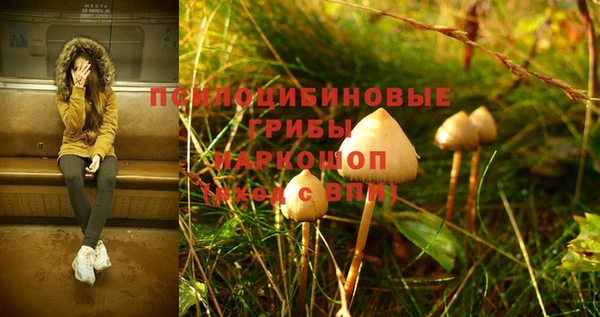 трава Зерноград