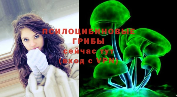 трава Зерноград